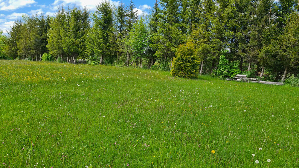 Gartenpflege in Füssen