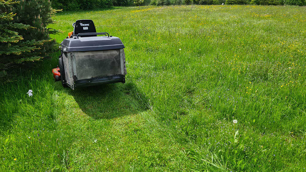 Gartenpflege Impression