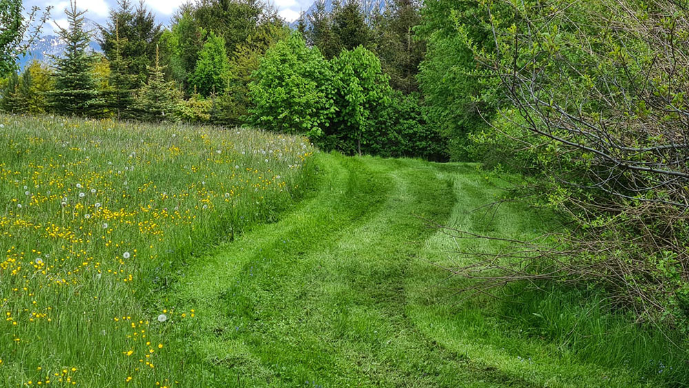 Gartenpflege Impression