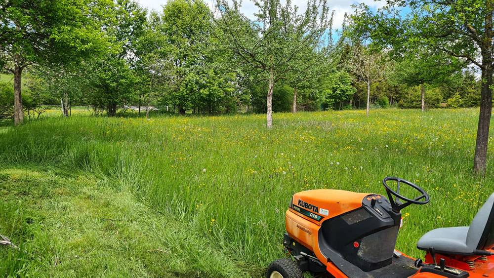 Gartenpflege Impression