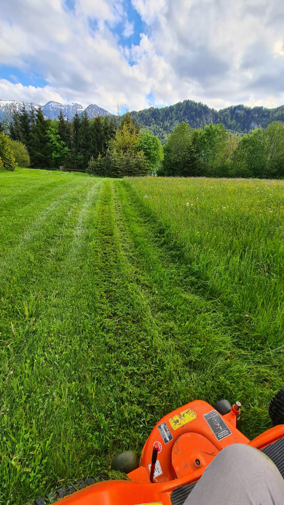 Sommerdienst Impression